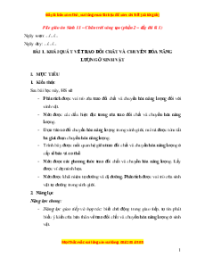 Giáo án Sinh học 11 Chân trời sáng tạo (năm 2025) | Giáo án Sinh học 11 mới, chuẩn nhất