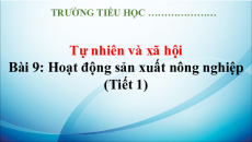 Giáo án Powerpoint Bài 9: Hoạt động sản xuất nông nghiệp Tự nhiên xã hội lớp 3 Kết nối tri thức