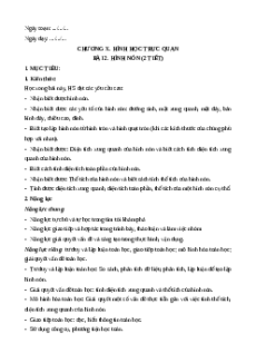 Giáo án Hình nón Toán 9 Cánh diều