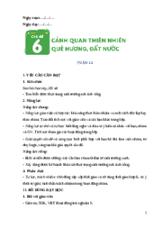 Giáo án Tuần 23 Hoạt động trải nghiệm lớp 5 Cánh diều