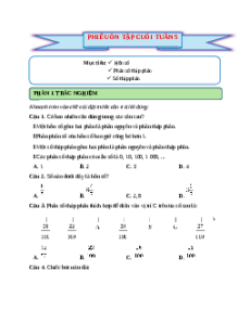 Bài tập cuối tuần Toán lớp 5 Cánh diều Tuần 5