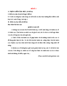 Đề thi học kì 2 Tiếng Việt lớp 2 Cánh diều (Đề 3)
