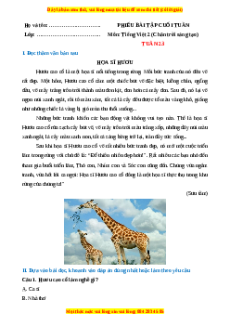 Bài tập cuối tuần Tiếng việt lớp 2 Tuần 23 Chân trời sáng tạo (có lời giải)