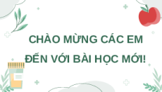 Giáo án Powerpoint Mối quan hệ giữa các quá trình sinh lí trong cơ thể sinh vật Sinh học 11 Kết nối tri thức