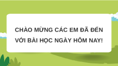 Giáo án Powerpoint Bài 10 Công nghệ chăn nuôi 11 Kết nối tri thức: Thực hành: Chế biến, bảo quản thức ăn cho vật nuôi