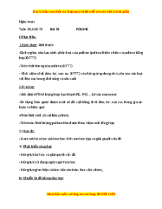 Giáo án Polime Hóa học 9