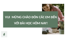 Giáo án Powerpoint Bài 19: Quy trình trồng trọt và cơ giới hóa trong trồng trọt lớp 10 Kết nối tri thức