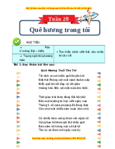 Bài tập cuối tuần Tiếng Việt 4 Tuần 28 Kết nối tri thức (có lời giải)