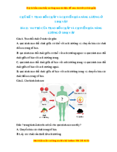 Trắc nghiệm Vai trò của trao đổi chất và chuyển hóa năng lượng của sinh vật KHTN 7 Chân trời sáng tạo