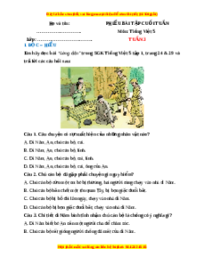 Bài tập cuối tuần Tiếng việt 5 Tuần 3 (có lời giải)