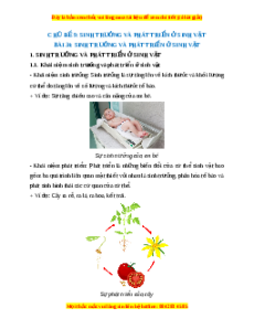 Lý thuyết Khoa học tự nhiên 7 Chân trời sáng tạo Bài 34: Sinh trưởng và phát triển ở sinh vật