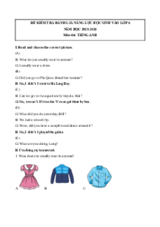 Bộ 3 đề thi khảo sát chất lượng đầu năm Tiếng anh 6 năm 2025 (có đáp án)