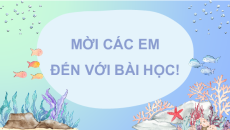 Giáo án Powerpoint Bài 1: Cá heo ở biển Trường Sa Tiếng việt lớp 4 Chân trời sáng tạo (Pb2)