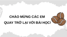 Giáo án Powerpoint Bài 31 Địa lí 12 Chân trời sáng tạo: Thực hành