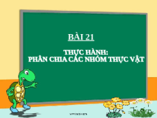 Giáo án Powerpoint Bài 21: Thực hành phân chia các nhóm thực vật KHTN 6 Cánh diều
