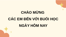 Giáo án Powerpoint Ôn tập chương 6 Công nghệ trồng trọt 10 Kết nối tri thức