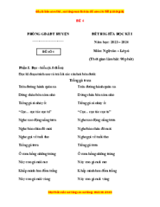 Đề thi giữa kì 1 Ngữ văn 6 Cánh diều (đề 4)