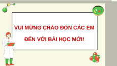 Giáo án điện tử Bài 20: Thành tựu của công nghệ vi sinh vật và ứng dụng của vi sinh vật