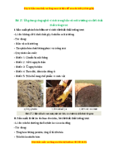 Lý thuyết Bài 27: Ứng dụng công nghệ vi sinh trong bảo vệ môi trường và xử lí chất thải trồng trọt