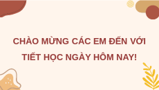 Giáo án Powerpoint Tuần 20 HĐTN lớp 4 Chân trời sáng tạo