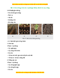 Lý thuyết Bài 3: Gieo trồng, chăm sóc và phòng trừ sâu, bệnh cho cây trồng