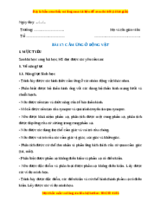 Giáo án Cảm ứng ở động vật Sinh học 11 Kết nối tri thức