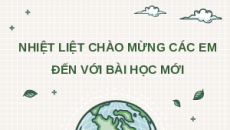 Giáo án Powerpoint Thực hành về quang hợp ở cây xanh Sinh học - KHTN 7 Cánh diều
