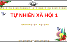 Giáo án Powerpoint Ôn tập chủ đề 3 Tự nhiên xã hội lớp 1 Cánh diều