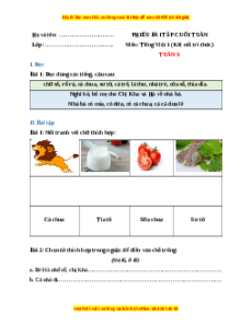 Bài tập cuối tuần Tiếng việt lớp 1 Tuần 6 Kết nối tri thức (có lời giải)