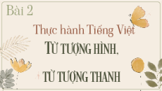Giáo án Powerpoint Thực hành tiếng Việt trang 42 Ngữ văn 8 Kết nối tri thức