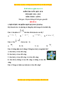 Đề thi giữa kì 2 Toán 6 Chân trời sáng tạo (Đề 3)