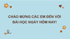 Giáo án Powerpoint Bài 4: Cây và hoa bên lăng Bác Tiếng Việt lớp 2 Chân trời sáng tạo