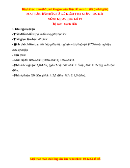 Đề thi giữa kì 1 Khoa học lớp 4 Cánh diều - Đề 1