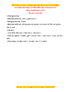 Đề thi giữa kì 1 Khoa học lớp 4 Cánh diều - Đề 1