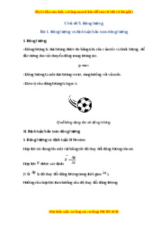 Lý thuyết Vật lí 10 Cánh diều Chủ đề 4 Bài 1: Động lượng và định luật bảo toàn động lượng