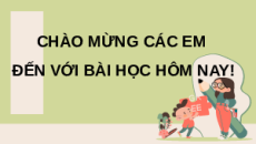 Giáo án Powerpoint Bài 13: Nhân giống cây trồng Công nghệ trồng trọt 10 Kết nối tri thức