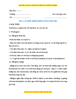 Giáo án Bài 2 Sinh học 12 Cánh diều: Sự biểu hiện thông tin di truyền