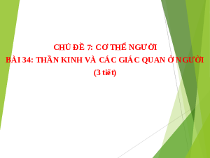 Giáo án Powerpoint Hệ thần kinh và các giác quan ở người Sinh học - KHTN 8 Cánh diều