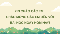 Giáo án Powerpoint Viết: Viết đoạn kết cho bài văn miêu tả cây cối (trang 31) Tiếng việt lớp 4 Chân trời sáng tạo (Phiên bản 2)