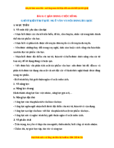 Giáo án Chân dung cuộc sống (2024) Kết nối tri thức