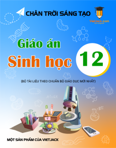 Giáo án Sinh học 12 Chân trời sáng tạo (năm 2025) | Giáo án Sinh học 12 mới, chuẩn nhất