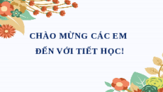 Giáo án Powerpoint Bài 3: Kĩ thuật trồng và chăm sóc cây ăn quả có múi Công nghệ 9 Trồng cây ăn quả Kết nối tri thức