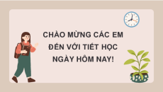 Giáo án Powerpoint Đọc: Lễ chào cờ đặc biệt trang 8, 9, 10 Tiếng việt lớp 3 Cánh diều