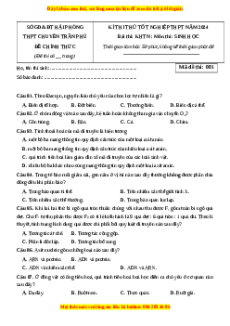 Đề thi thử tốt nghiệp Sinh học trường THPT Chuyên Trần Phú - Hải Phòng lần 1 năm 2024