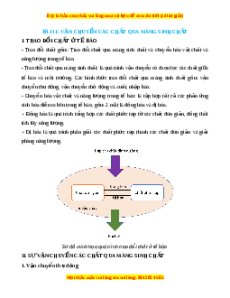 Lý thuyết Sinh học 10 Chân trời sáng tạo Bài 11: Vận chuyển các chất qua màng sinh chất