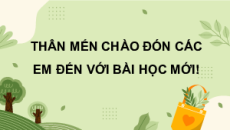 Giáo án Powerpoint Sinh sản ở thực vật Sinh học 11 Cánh diều