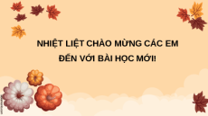 Giáo án Powerpoint Bài 12 KTPL 11 Chân trời sáng tạo (2024): Quyền bình đẳng giữa các dân tộc, tôn giáo