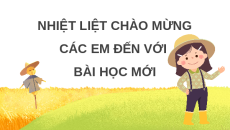 Giáo án Powerpoint Bài 6 Lịch sử & Địa lí lớp 4 Cánh diều: Thiên nhiên vùng Đồng bằng Bắc Bộ