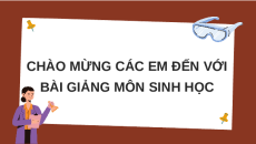 Giáo án Powerpoint Ôn tập Chương 1 Sinh học 10 Chân trời sáng tạo