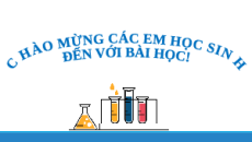 Giáo án Powerpoint Amine Hóa học 12 Chân trời sáng tạo